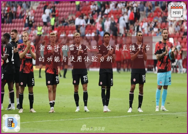 全面评测雷速入口：体育直播平台的功能与使用体验分析